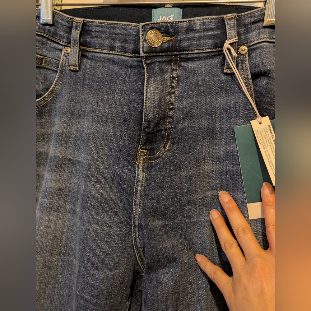 Jag Mid Rise Cecilia Skinny In Sky Blue Plus Size 22W New With Tags! - Picture 11 of 16
